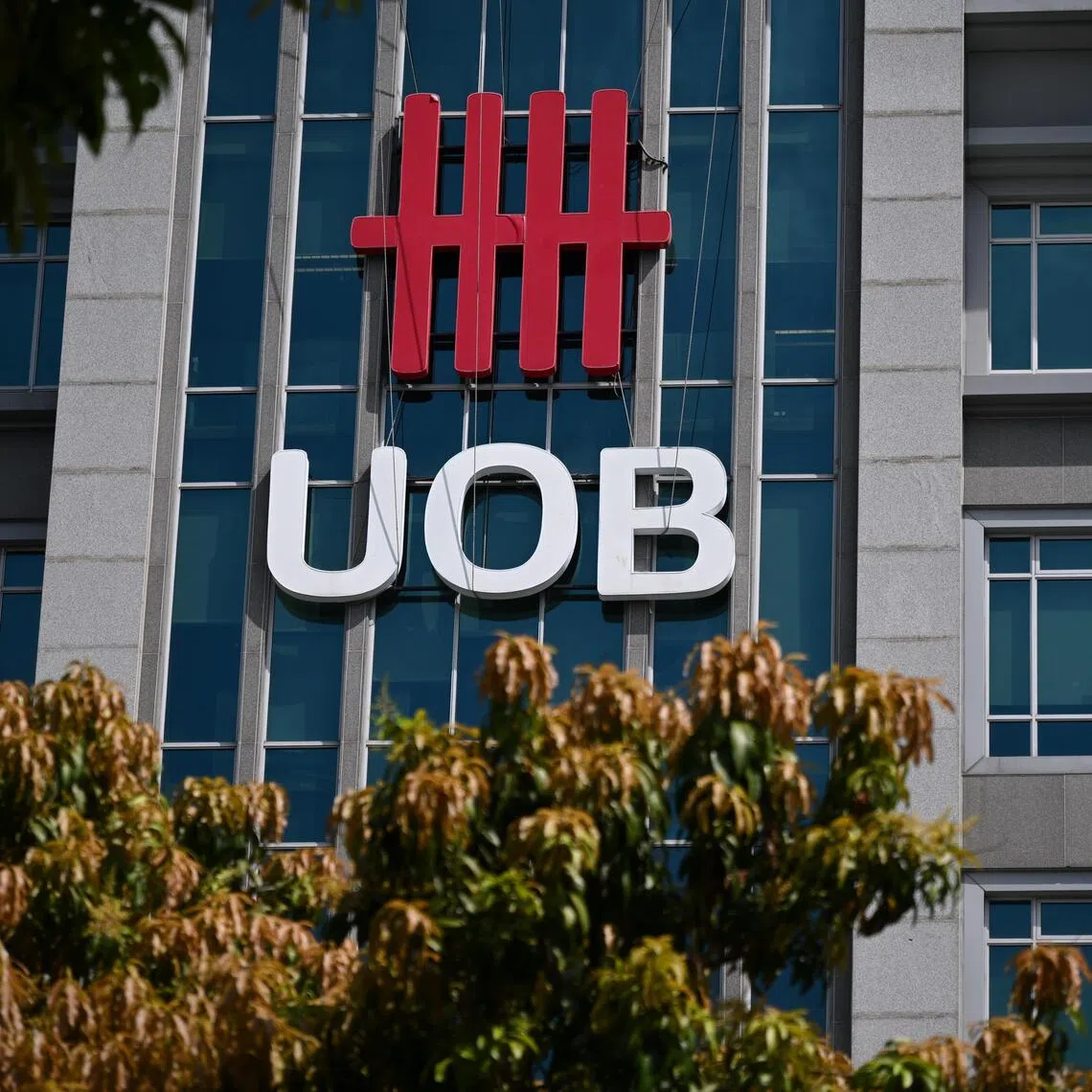 UOB shares are down 4 per cent to date in 2025, while DBS OCBC are up about 27 per cent and 16 per cent respectively.