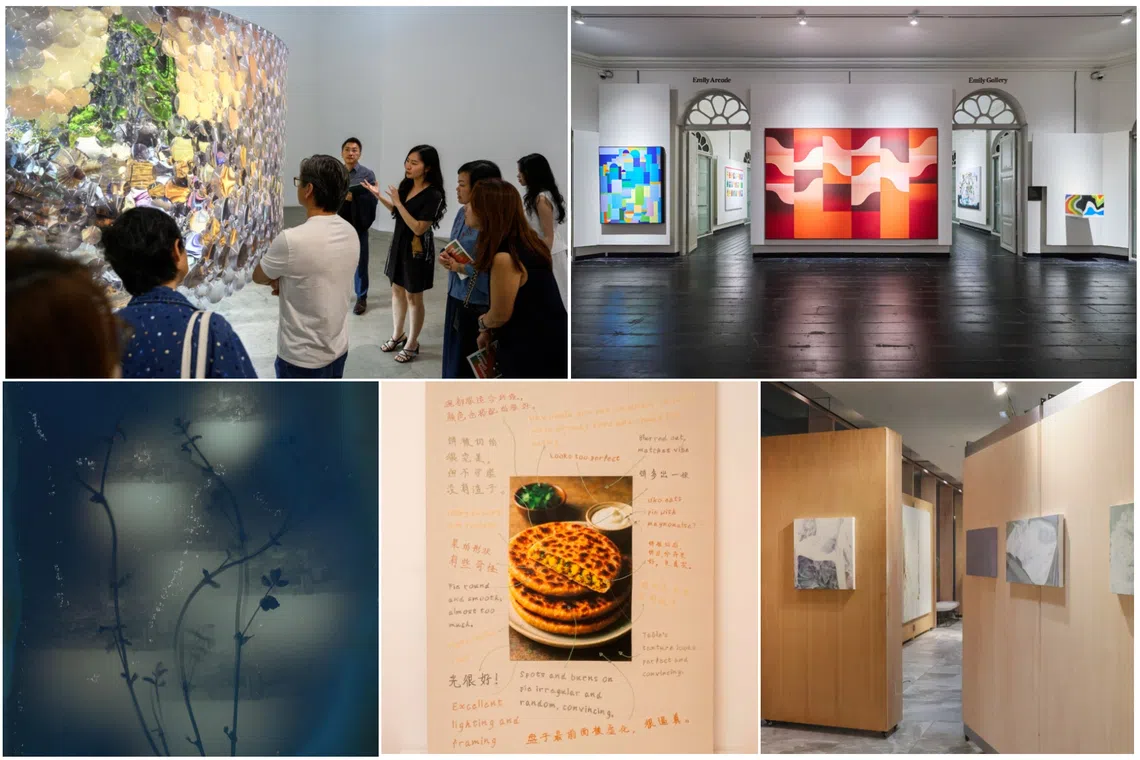 5 must-dos at Singapore Gallery Month, on from Aug 15 to Sept 13