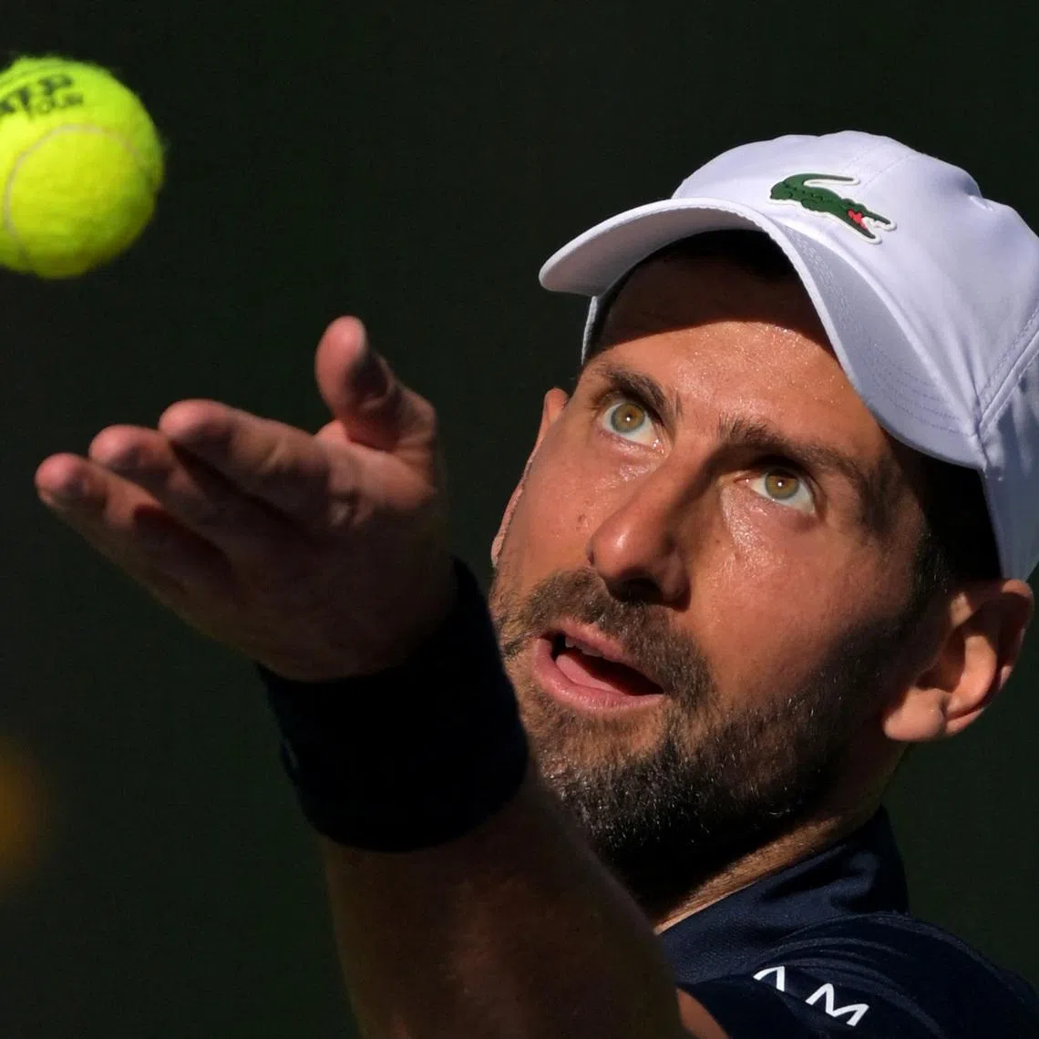 Mar 7, 2026; Indian Wells, CA, USA;  Novak Djokovic (SRB) tosses the ball for a serve during his second round match against Kamil Majchrzak (POL) in the BNP Paribas Open at the Indian Wells Tennis Garden. Mandatory Credit: Jayne Kamin-Oncea-Imagn Images
