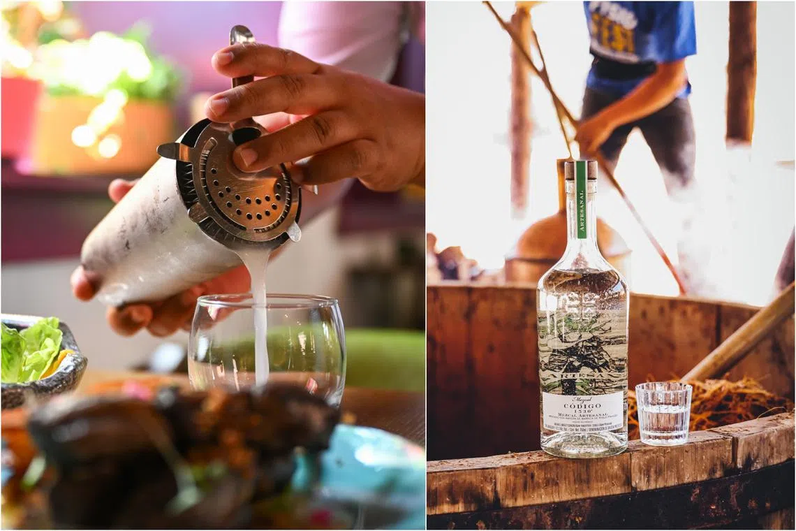 Pisco, famously used in pisco sour cocktails, and mezcal, are two regional spirits that are gaining popularity worldwide. 