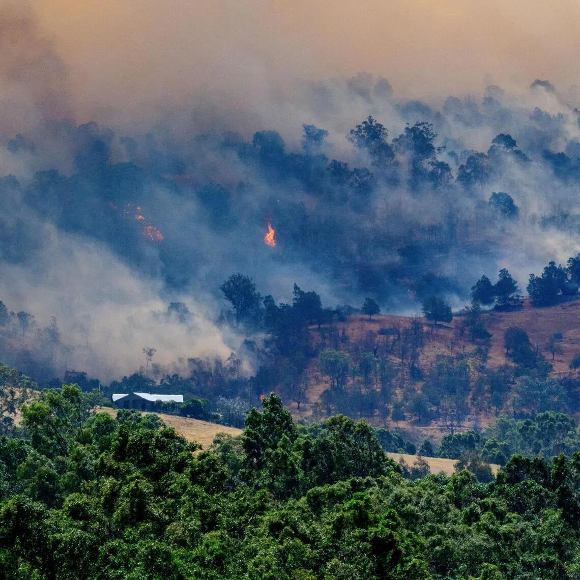 Mountainous terrain was making it difficult for firefighters to battle the blaze from the ground.