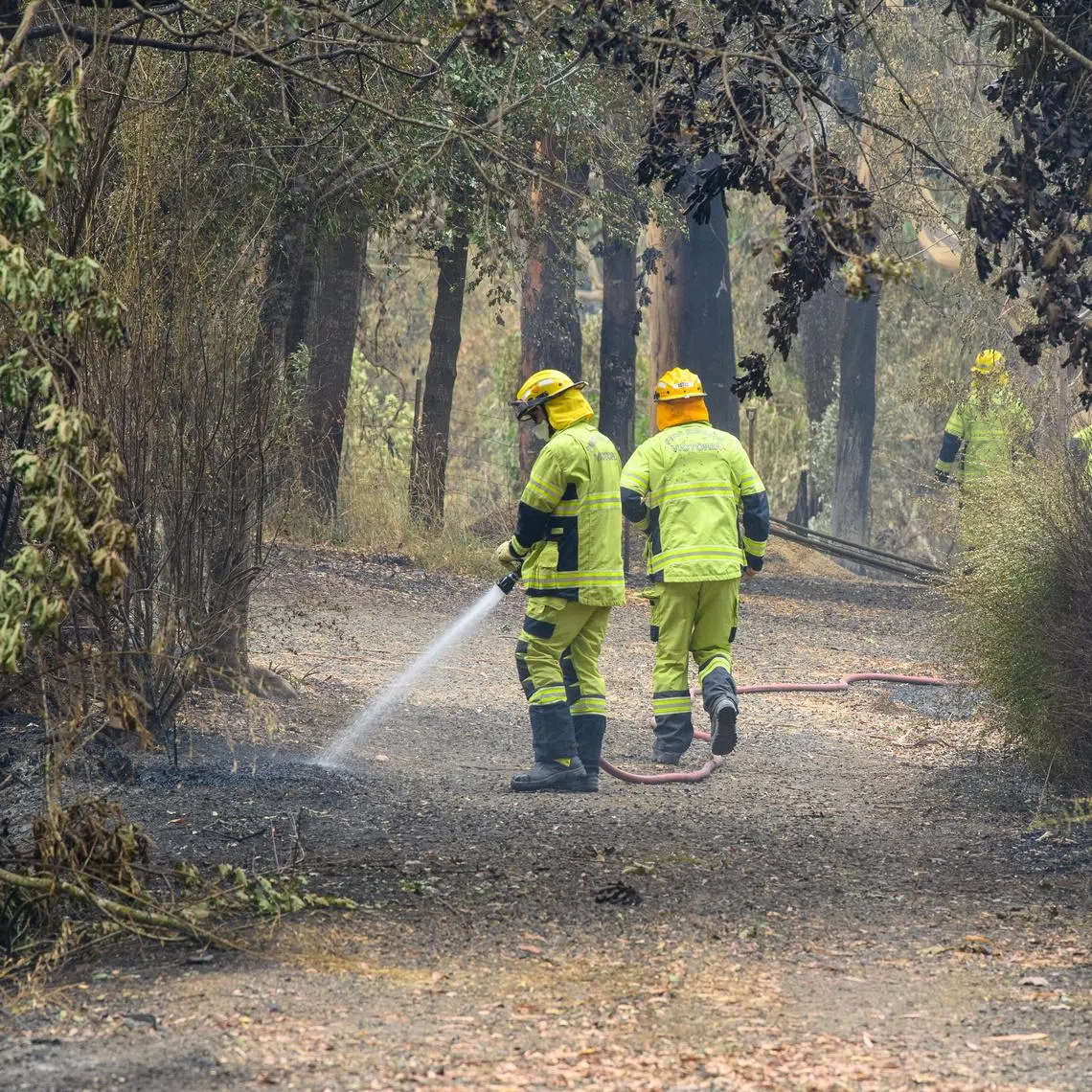 The heatwave is the worst seen in Victoria, Australia’s second-most populous state, since the 2009 Black Saturday bushfires that killed 173 people.