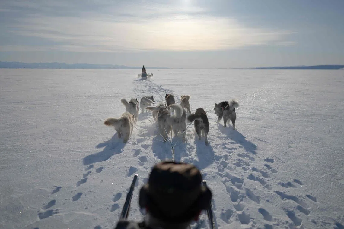 Greenland’s elite dog sled unit patrols desolate, icy Arctic