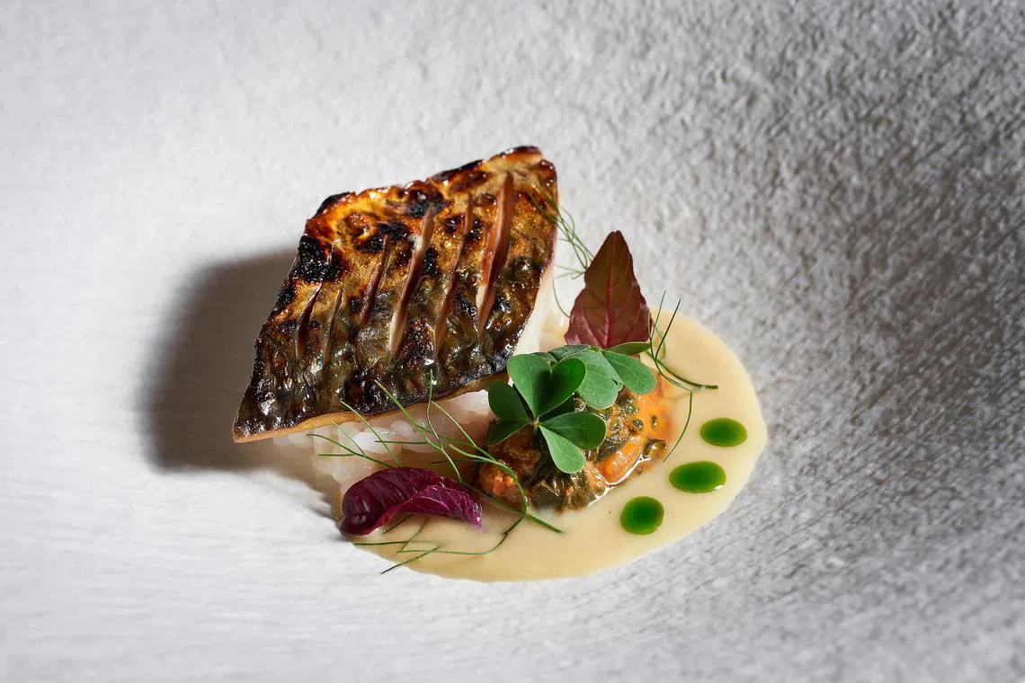 Mackerel with starfruit curd on Hokkaido yumepirika sushi rice at Butcher's Block.