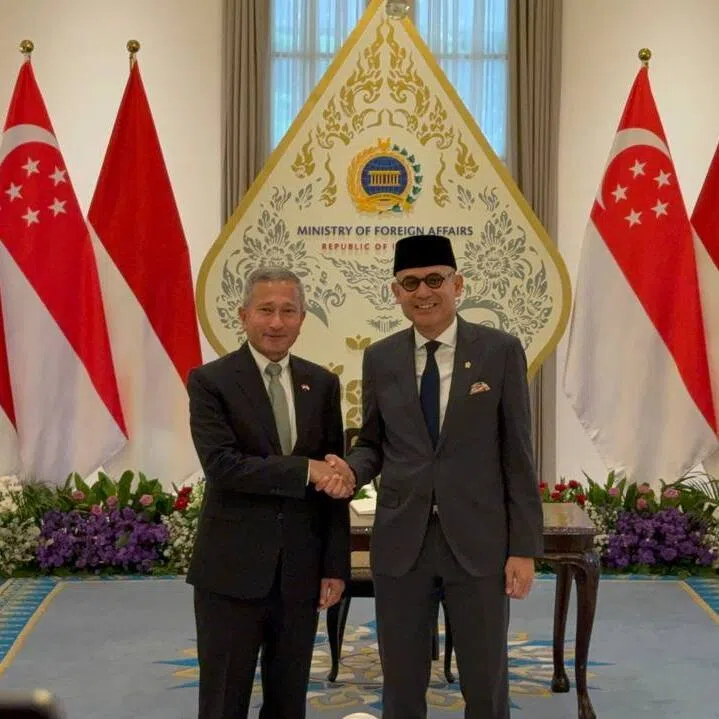 Foreign Minister Vivian Balakrishnan (left) arriving for a meeting with Indonesian Foreign Minister Arrmanatha Christiawan Nasir in Jakarta on Oct 27.