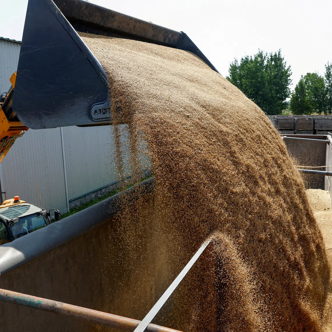 The FAO Food Price Index, which tracks monthly changes in international prices for a basket of food commodities, averaged 136.0 points in September.