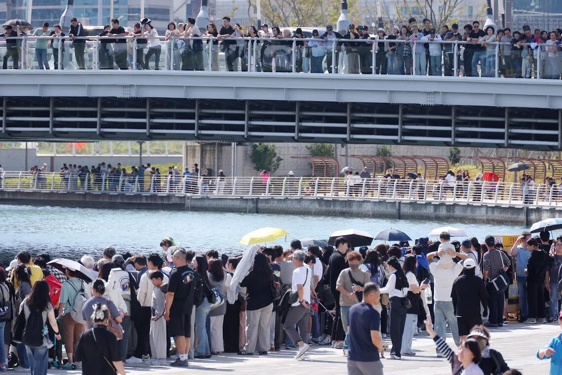Crowds flock to a waterfront park in Busan on Oct 4 to see a shark remaining in a waterway even after a second rescue attempt.