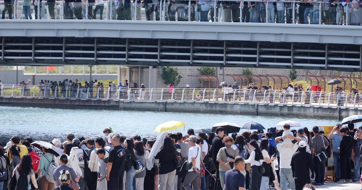 Busan’s celebrity shark gets no break from late-night crowds