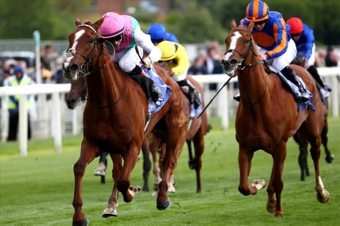The Andrew Balding-trained Item (Colin Keane) defeating fellow Epsom Derby contender Action (Wayne Lordan) in the Group 2 Dante Stakes (2,000m) at York on May 14.

