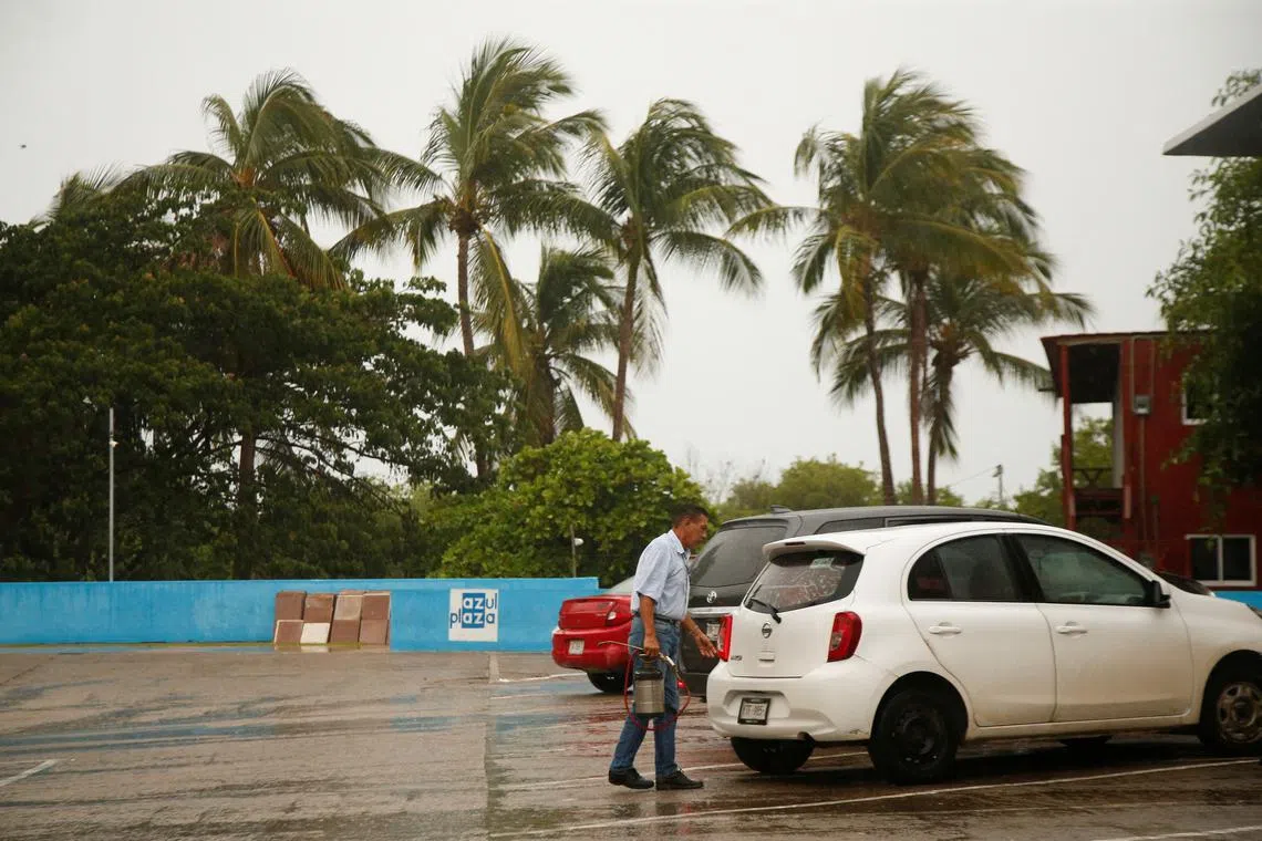 Palm trees sway in the wind and rain as Hurricane Erick strengthens off Mexico's Pacific Coast, in Puerto Escondido, Oaxaca state, Mexico, June 18, 2025. REUTERS/Jorge Luis Plata
