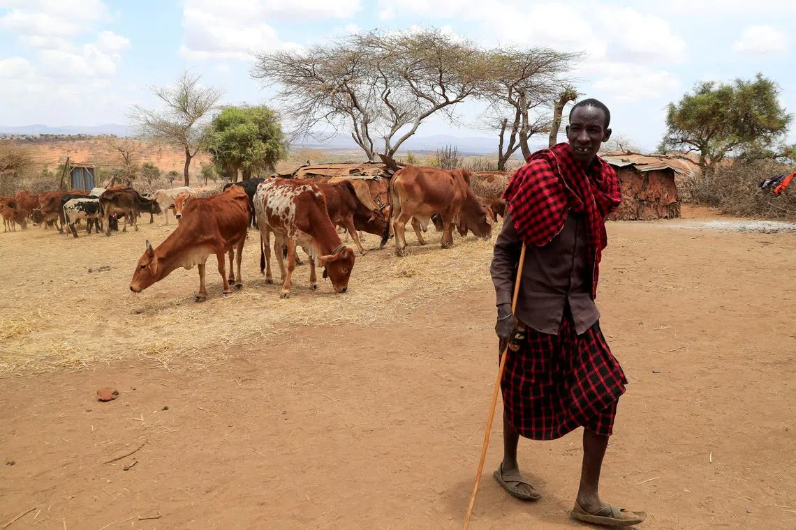 The few dozen wealthy countries obliged to make these payments have not delivered cash in the amounts promised. 