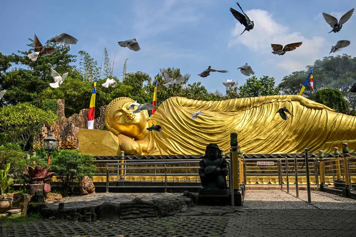 Doves flying next to a giant Buddha statue at the Maha Vihara Mojopahit temple in Mojokerto, Indonesia, on May 15, 2024 ahead of Vesak day, which commemorates the birth, enlightenment and death of Buddha. 