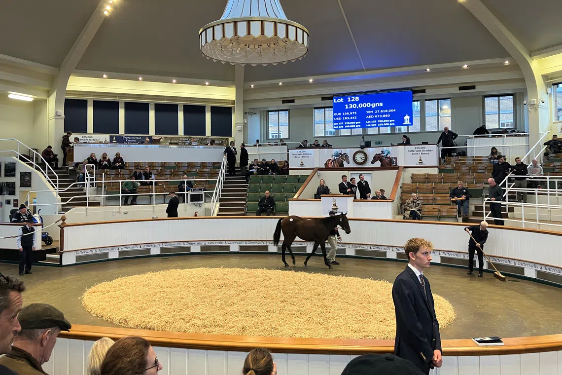 競馬 – シェイク・モハメッドが2,000万ポンドの支出で競走馬の売り上げトップに