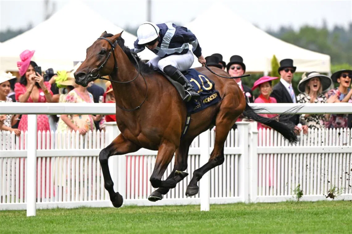 Loughnane eyes right side of the St Leger