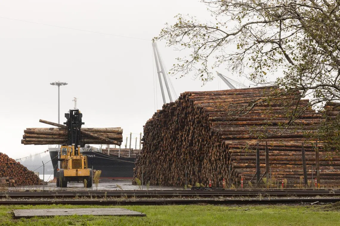 FILE — Logs are loaded onto a ship in North Bend, Ore., Nov. 15, 2024. President Donald Trump wants to circumvent environmental regulations to expand timber production, something sought by homebuilders and the construction industry. (Kristina Barker/The New York Times)