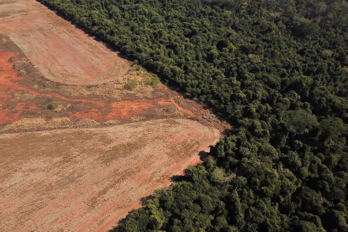 An aerial view shows deforestation near a forest on the border between Amazonia and Cerrado in Nova Xavantina, Mato Grosso state, Brazil July 28, 2021. Picture taken July 28, 2021 with a drone. REUTERS/Amanda Perobelli