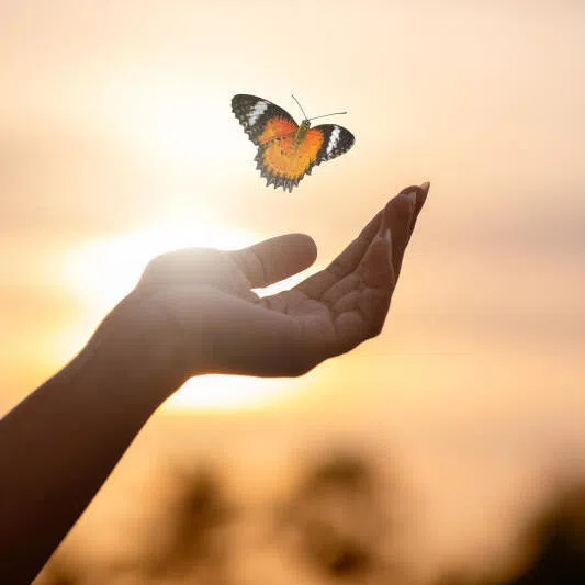 Knowing that we cannot hold on to anything or anyone for long on this earth makes the small moments of joy we share with them something to be treasured. . 