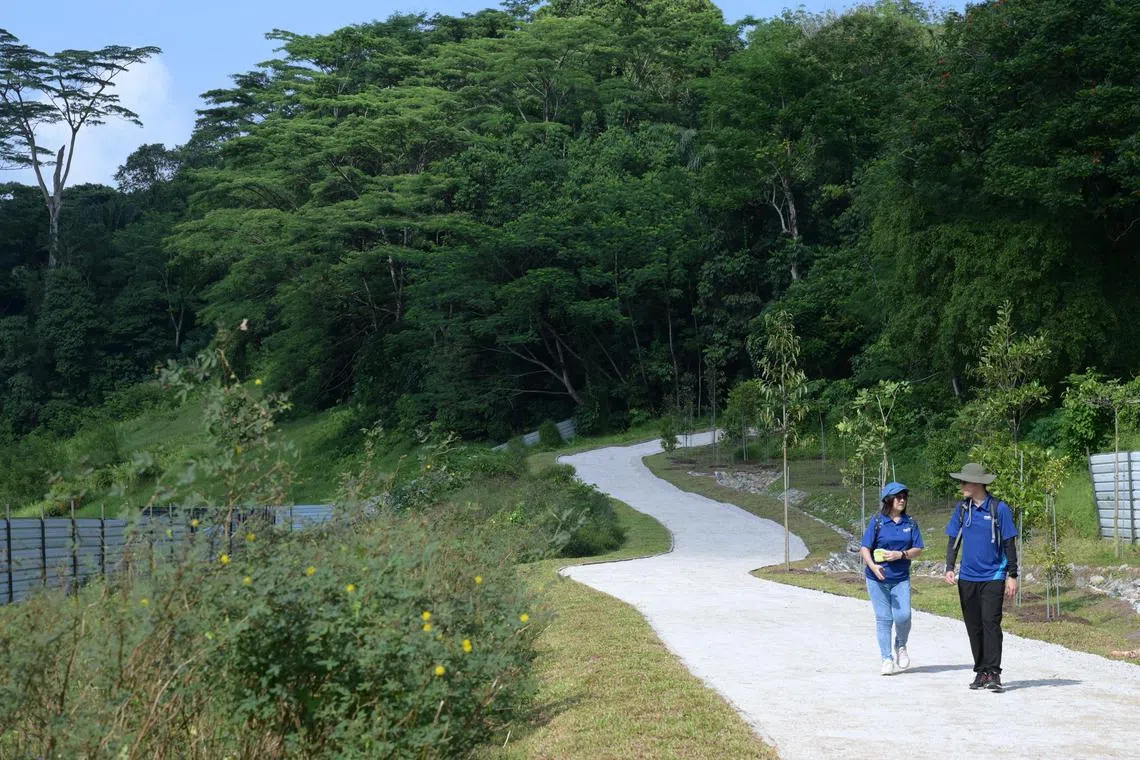 Guests at Holland Green Linear Park located within the Clementi Nature Corridor on Aug 31, 2024.