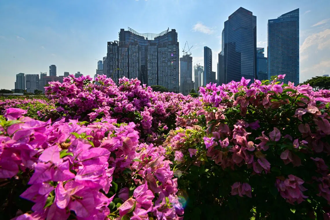 DPM Lawrence Wong announced three enhancements to the Enterprise Financing Scheme.