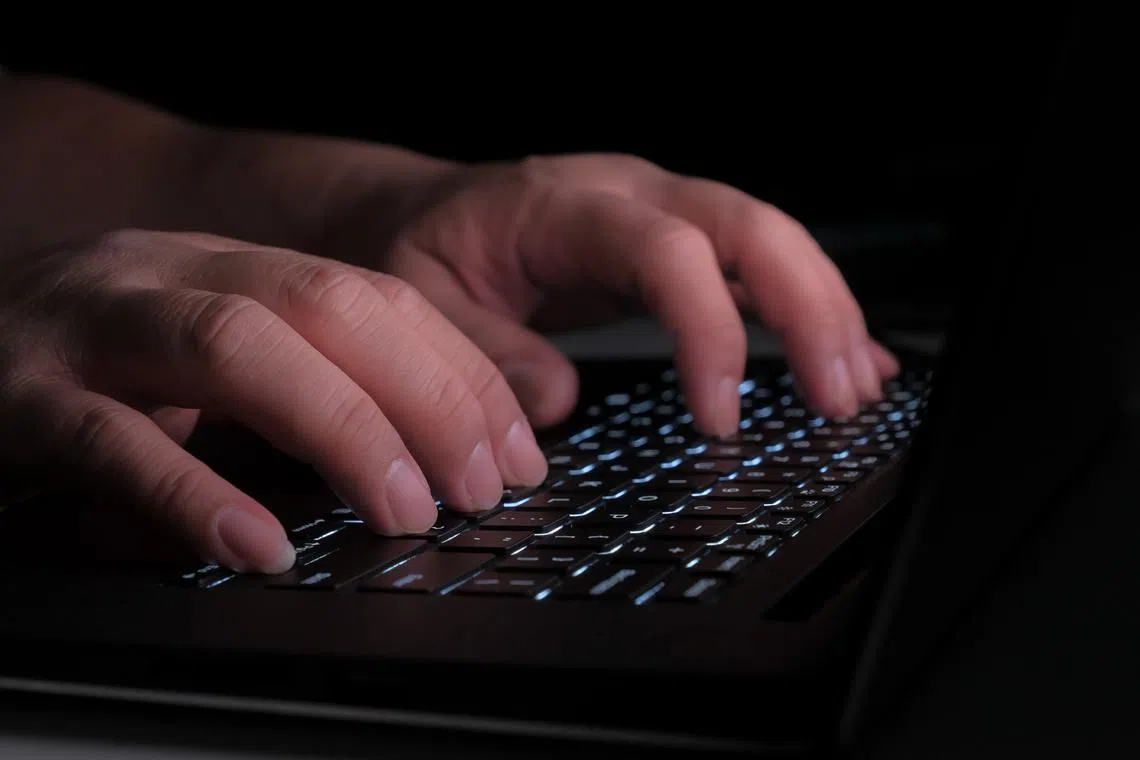 MHA and the Infocomm Media Development Authority (IMDA) ordered 10 fake websites to be blocked on Oct 22.