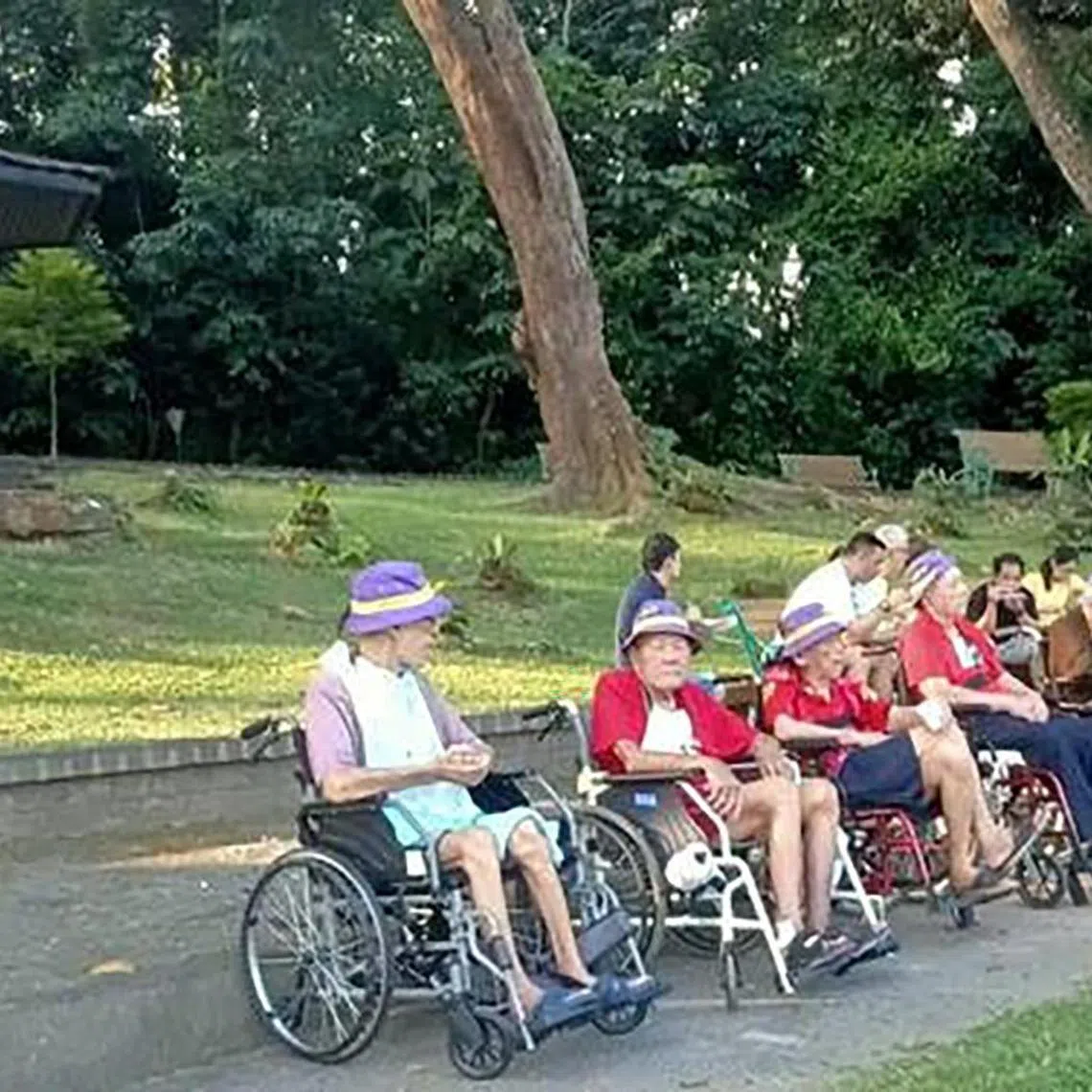 14yourpic - St Theresa’s Home residents at an outing at MacRitchie Reservoir Park.

in ST Forum
Credit: Chin Kee Thou