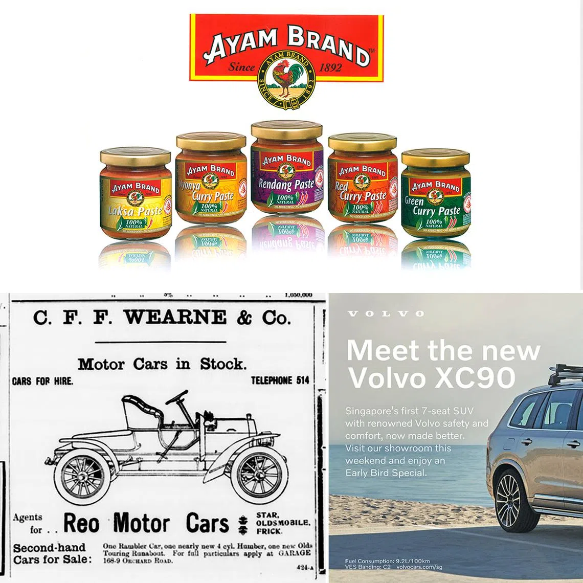 Many of Singapore’s oldest brands, such as Ayam Brand and Wearnes Automotive, have built lasting legacies of trust and service.