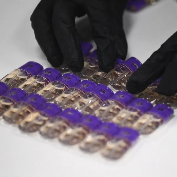 Vaping, scams and violent crimes dominated headlines in 2025. ST looks back at some of these stories.