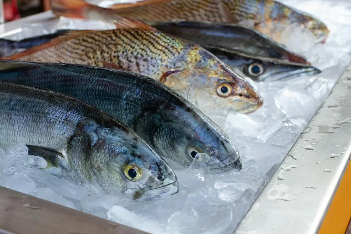 Greek fishermen are keen to market species that they currently throw overboard because consumers do not know they are perfectly edible, said WWF field fishery manager Michalis Margaritis.