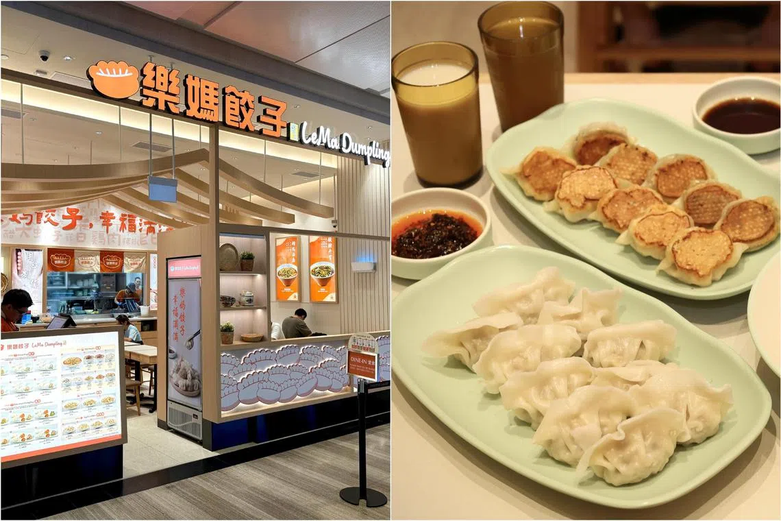 LeMa Dumpling is a new comfort food concept by Paradise Group.