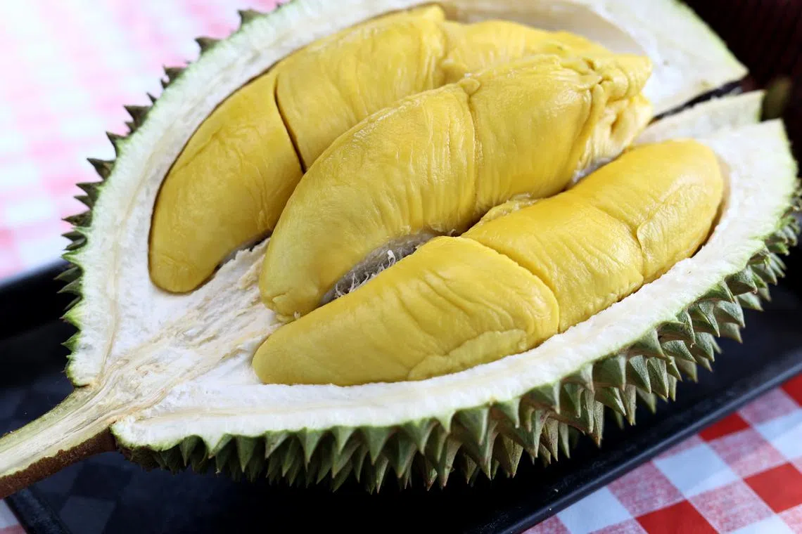 Durian has become a trending phenomenon among China’s middle class, with an array of innovative products such as durian hot pot, durian bread, and themed buffets.