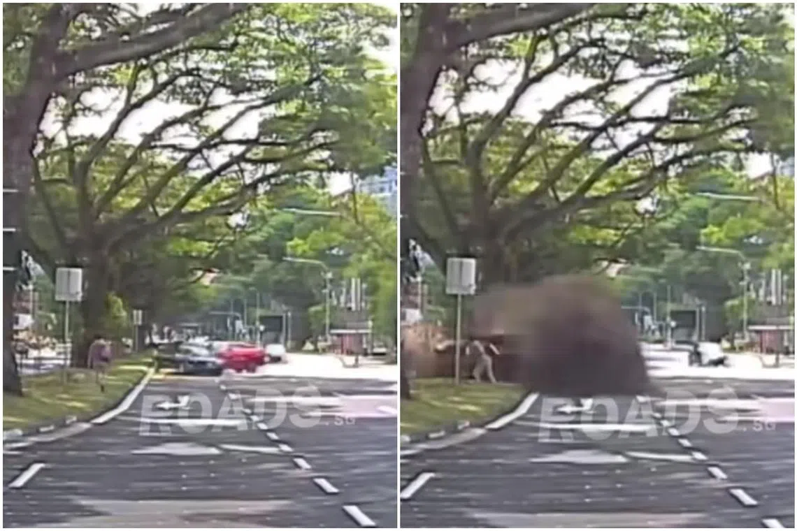 Footage of the accident showed the taxi crashing into the side of a black car, sending it spinning and narrowly missing a pedestrian.