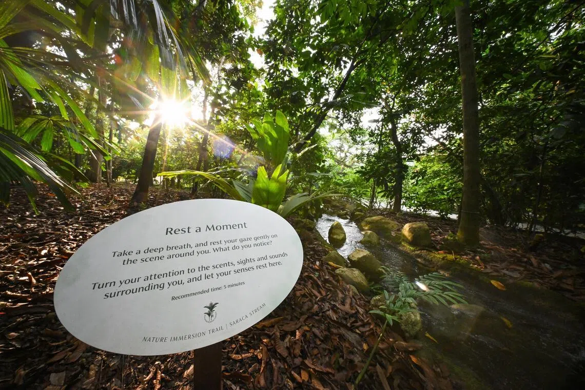Immersion trail launched at Singapore Botanic Gard