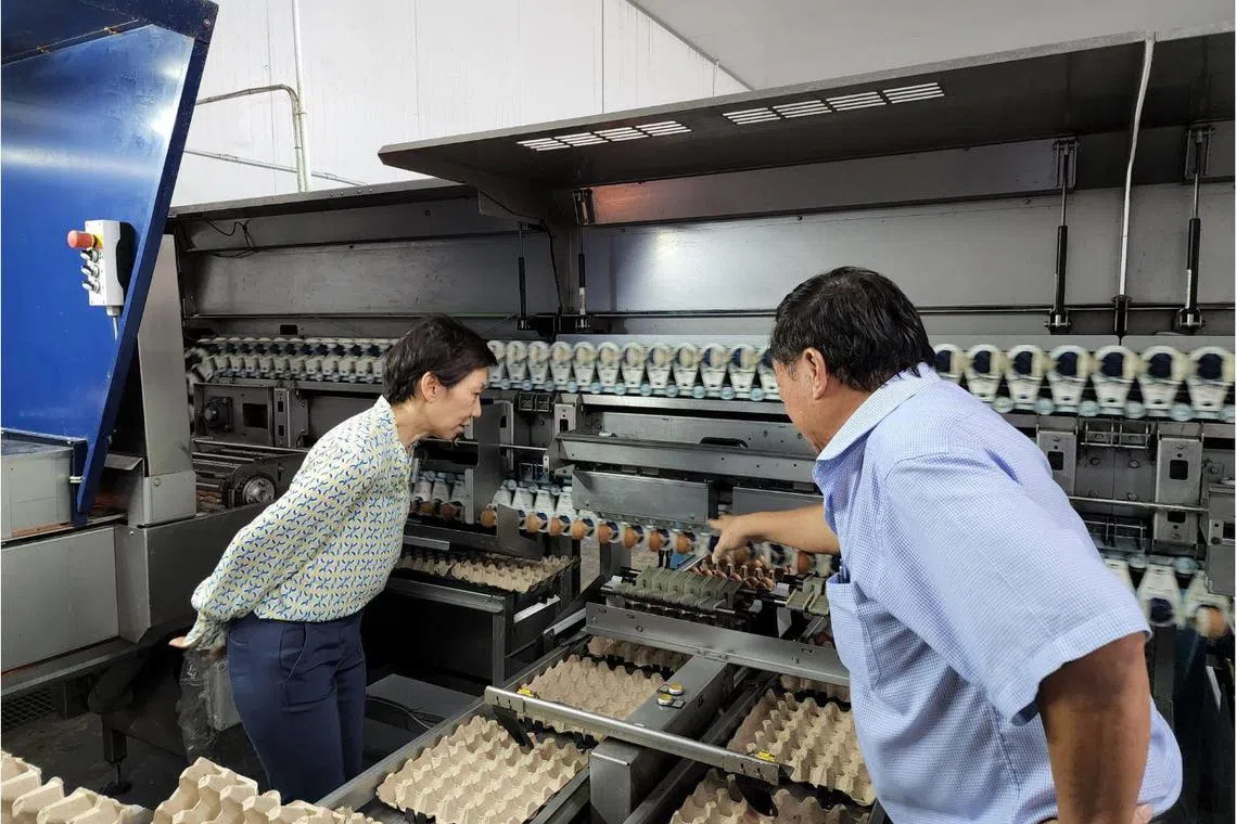 Minister for Sustainability and the Environment Grace Fu at Brunei’s Golden Chick Livestock Farm on Tuesday.