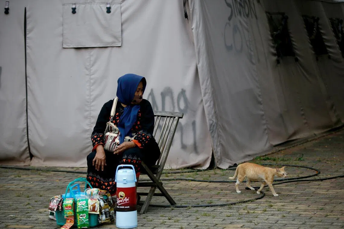 Trap, neuter, release: Jakarta battles cat-astrophic stray numbers