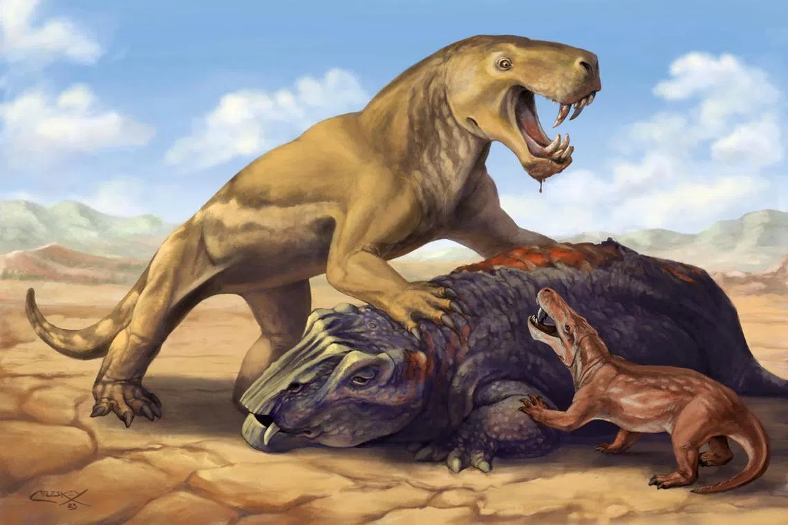 This undated illustration shows the Permian Period tiger-sized saber-toothed protomammal Inostrancevia atop its dicynodont prey, scaring off the much smaller species Cyonosaurus. Matt Celeskey/Handout via REUTERS NO RESALES. NO ARCHIVES. THIS IMAGE HAS BEEN SUPPLIED BY A THIRD PARTY.