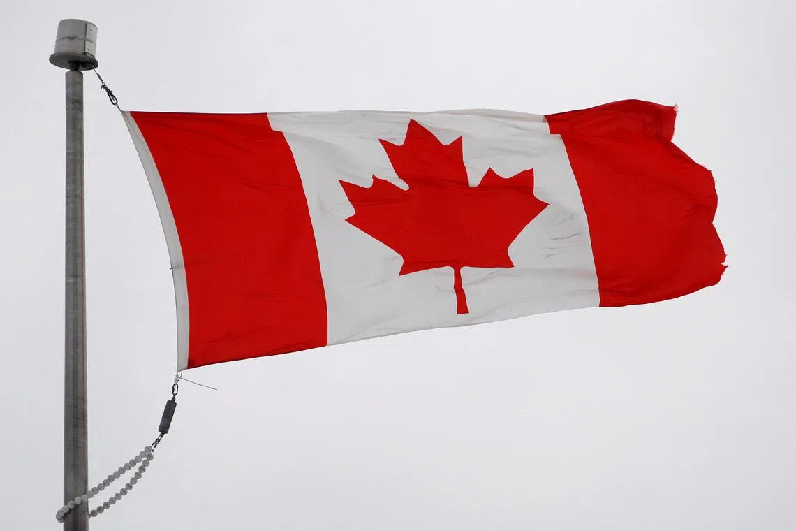 FILE PHOTO: The Canadian flag flutters in the wind in Quebec City, February 26, 2010. 