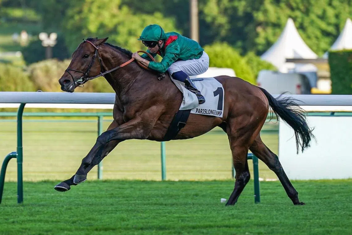 The Francis-Henri Graffard-trained Daryz (Mickael Barzalona) winning the Group 1 Prix Aga Khan IV (1,850m) unopposed at ParisLongchamp on May 21.


