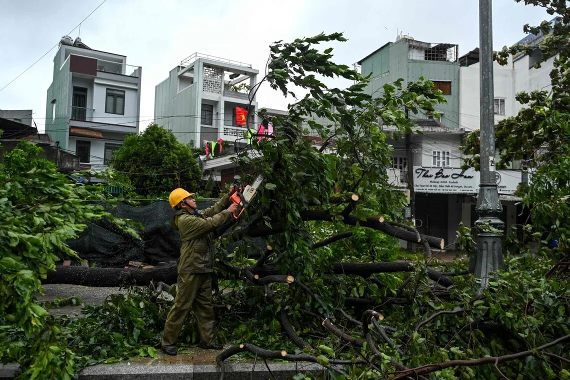 The storm made landfall in central Vietnam late on Nov 6, uprooting trees, damaging homes, and triggering power outages, before weakening as it moved inland. 