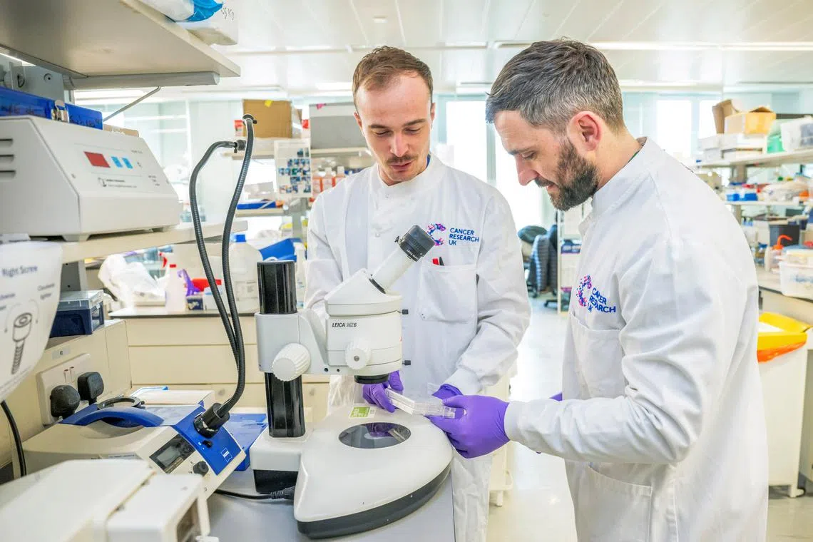 Britain currently charges businesses 12,120 pounds for a typical five-year skilled worker visa.