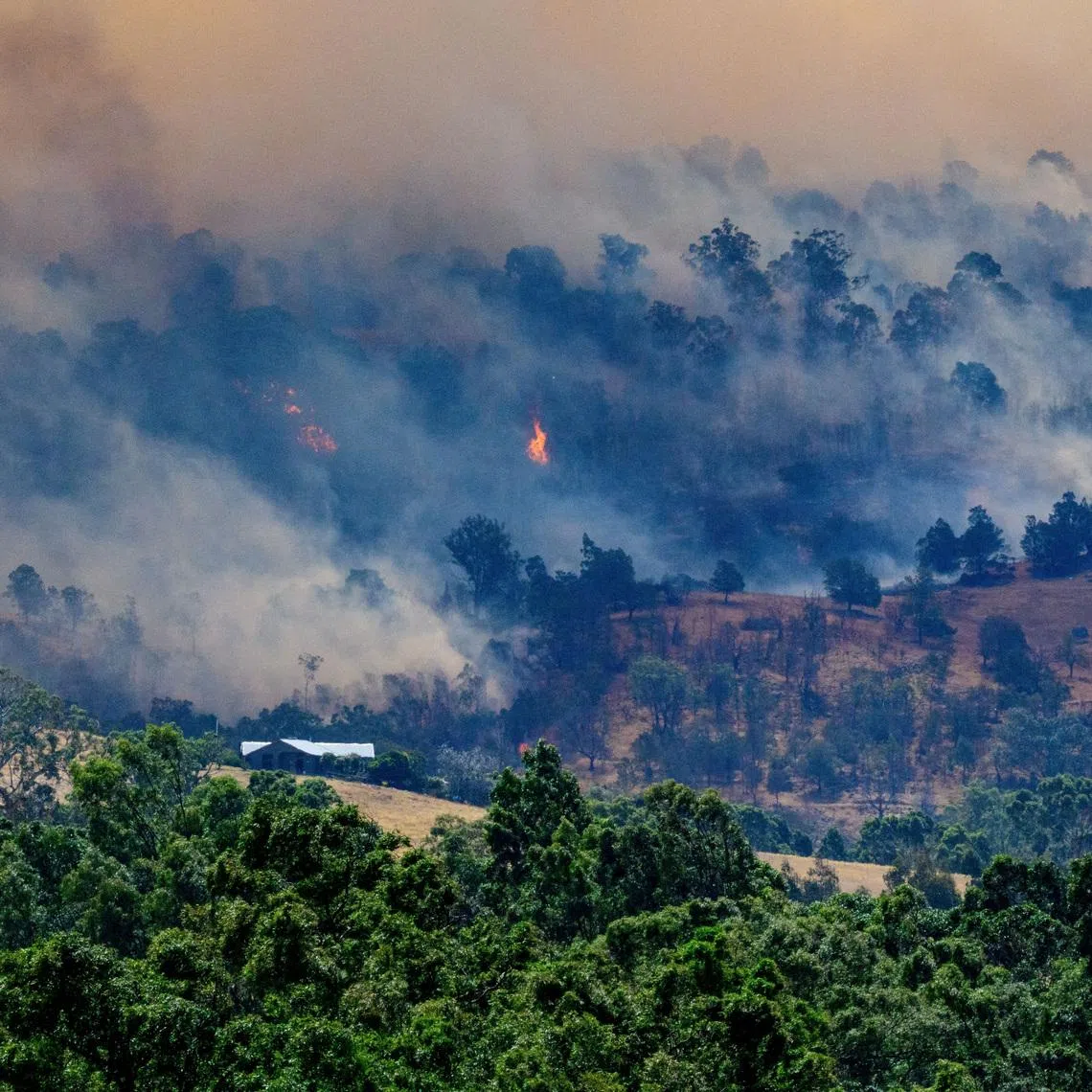 Smoke rises from a burning forest on a hillside behind a home near Longwood as bushfires continue to burn under severe fire weather conditions in Victoria on Jan 9.