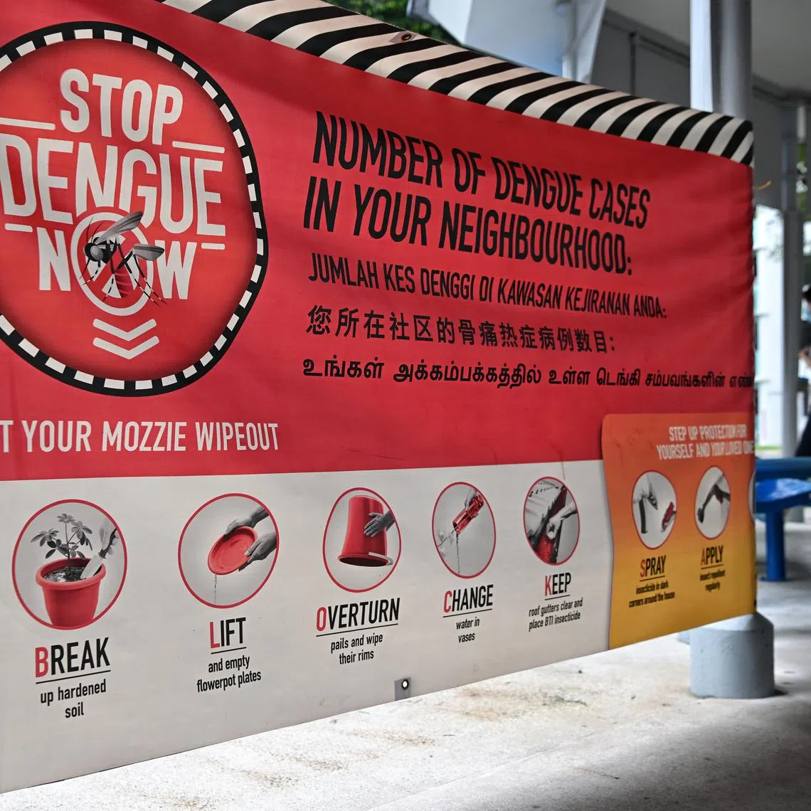 Although there were fewer than 10,000 dengue cases in 2023, the virus killed six people, of which three occurred in the last quarter of the year.