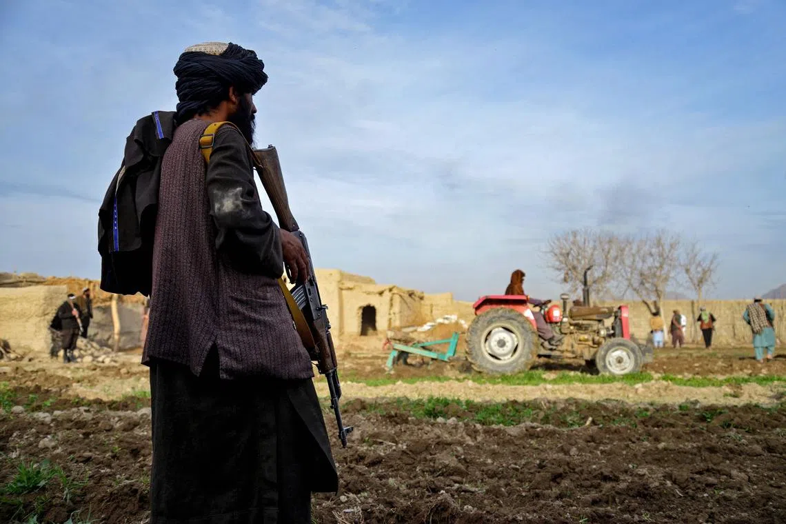 A Taliban security official watches a tractor squash opium plantations at a field in Kandahar province.