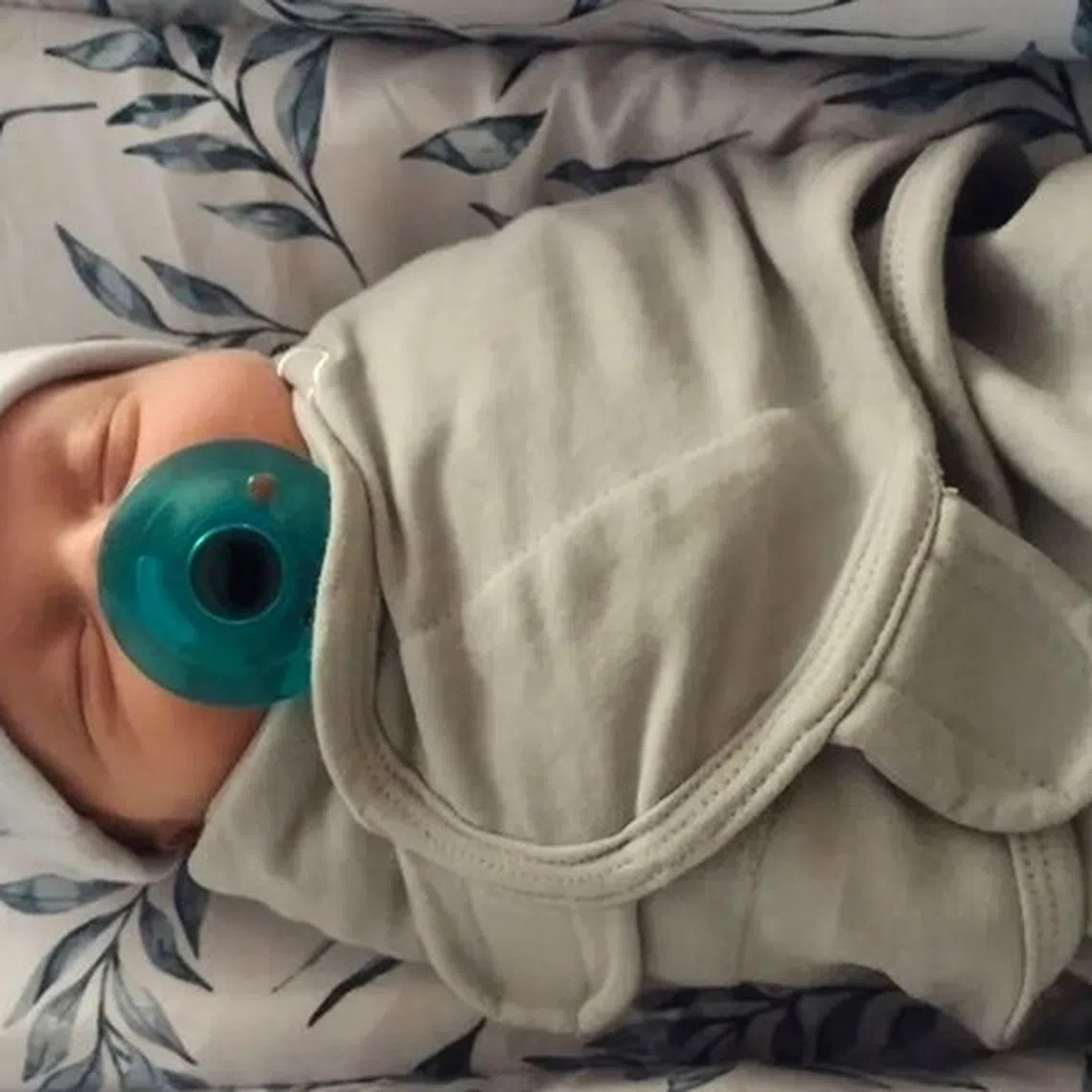 Thaddeus Daniel Pierce began as an embryo in 1994, the same year that Forrest Gump hit theatres and the first PlayStation.