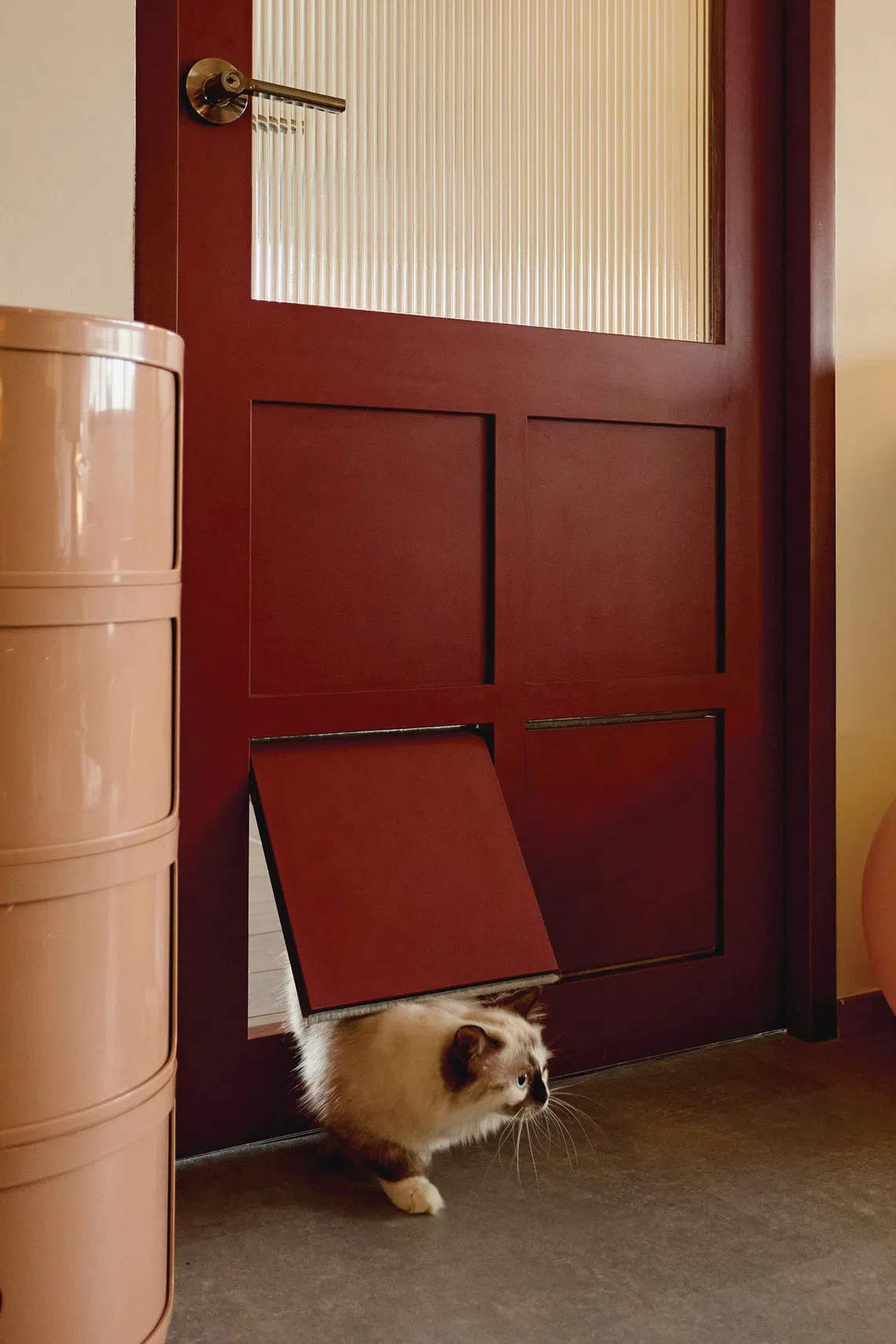 A custom-built door with a cat flap allows the cats to come and go as they please.