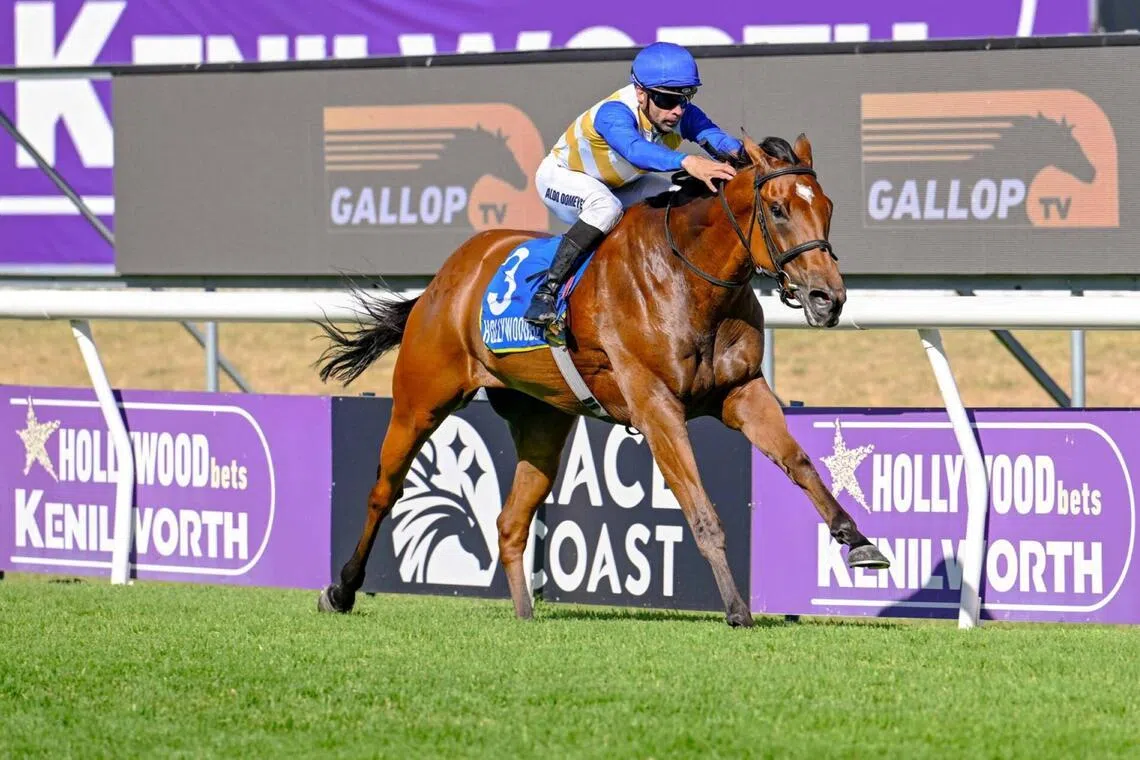 Tanneron (Aldo Domeyer) recording a comfortable win in the Gallop TV B Stakes (1,200m) at Kenilworth on Dec 21, 2025.