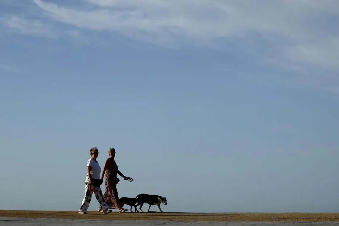 Hotter, drier weather is not just uncomfortable, but also poses health risks for pets beyond a sweaty walk.
