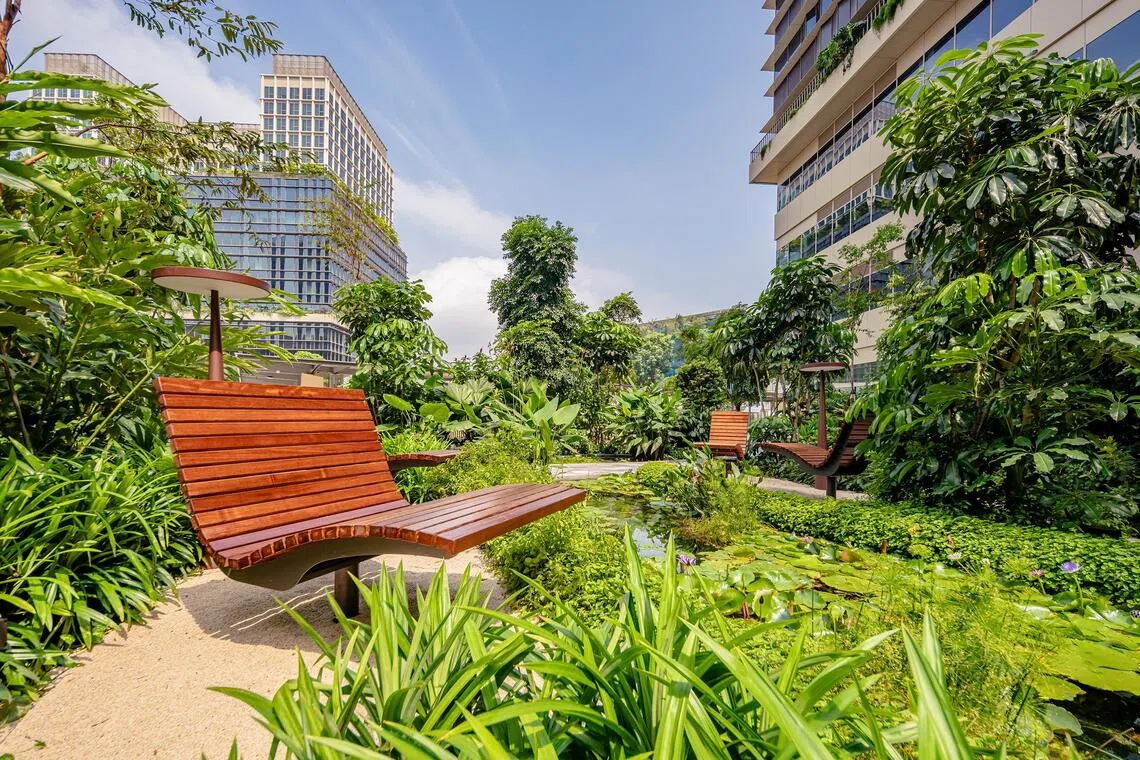 The Seed is a genomic garden at Singapore Science Park.