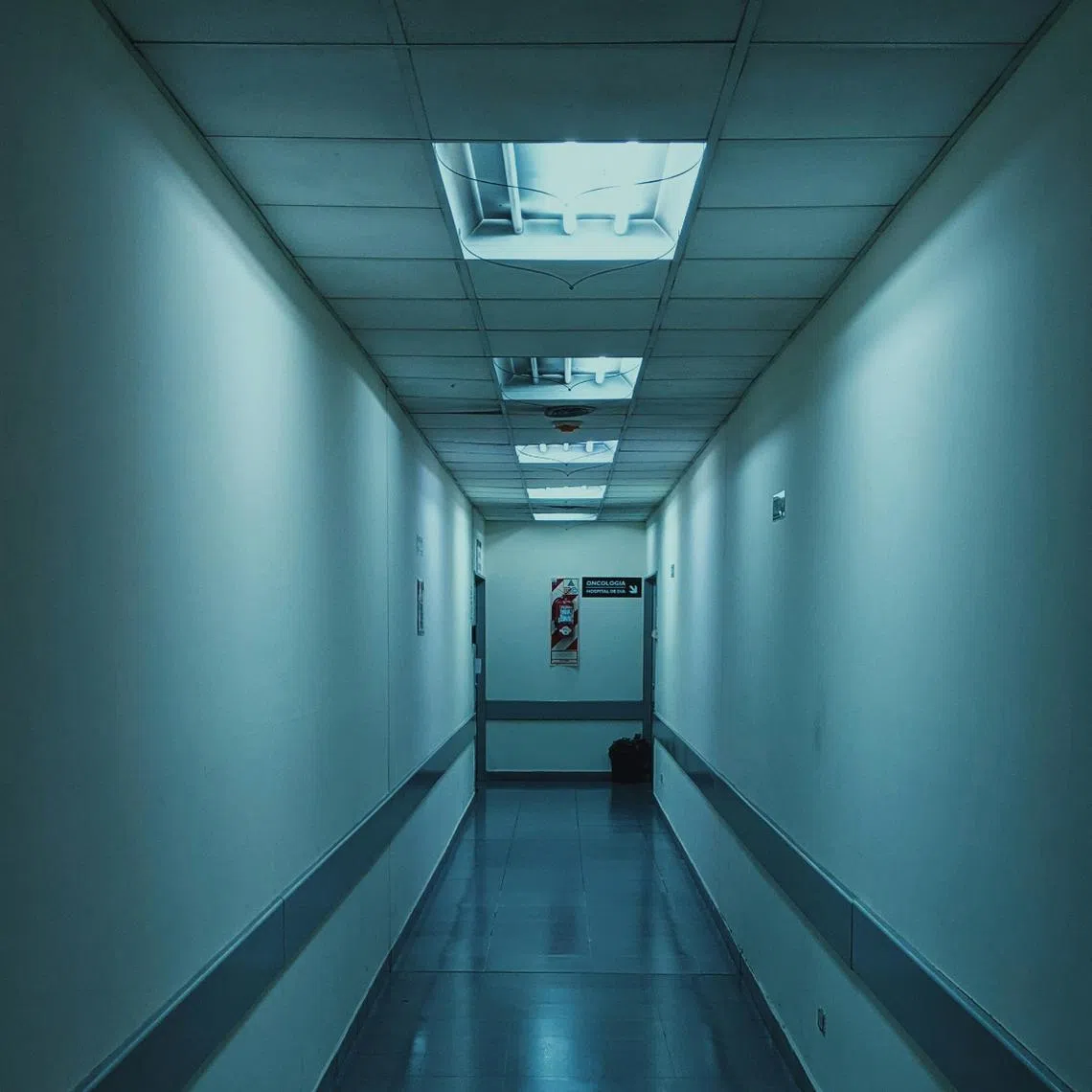 The fungus survives on hospital surfaces and medical equipment and spreads easily between patients.