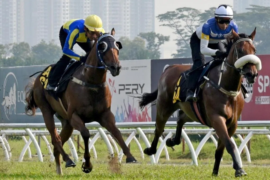 Perfect Return
PHOTO: SELANGOR TURF CLUB