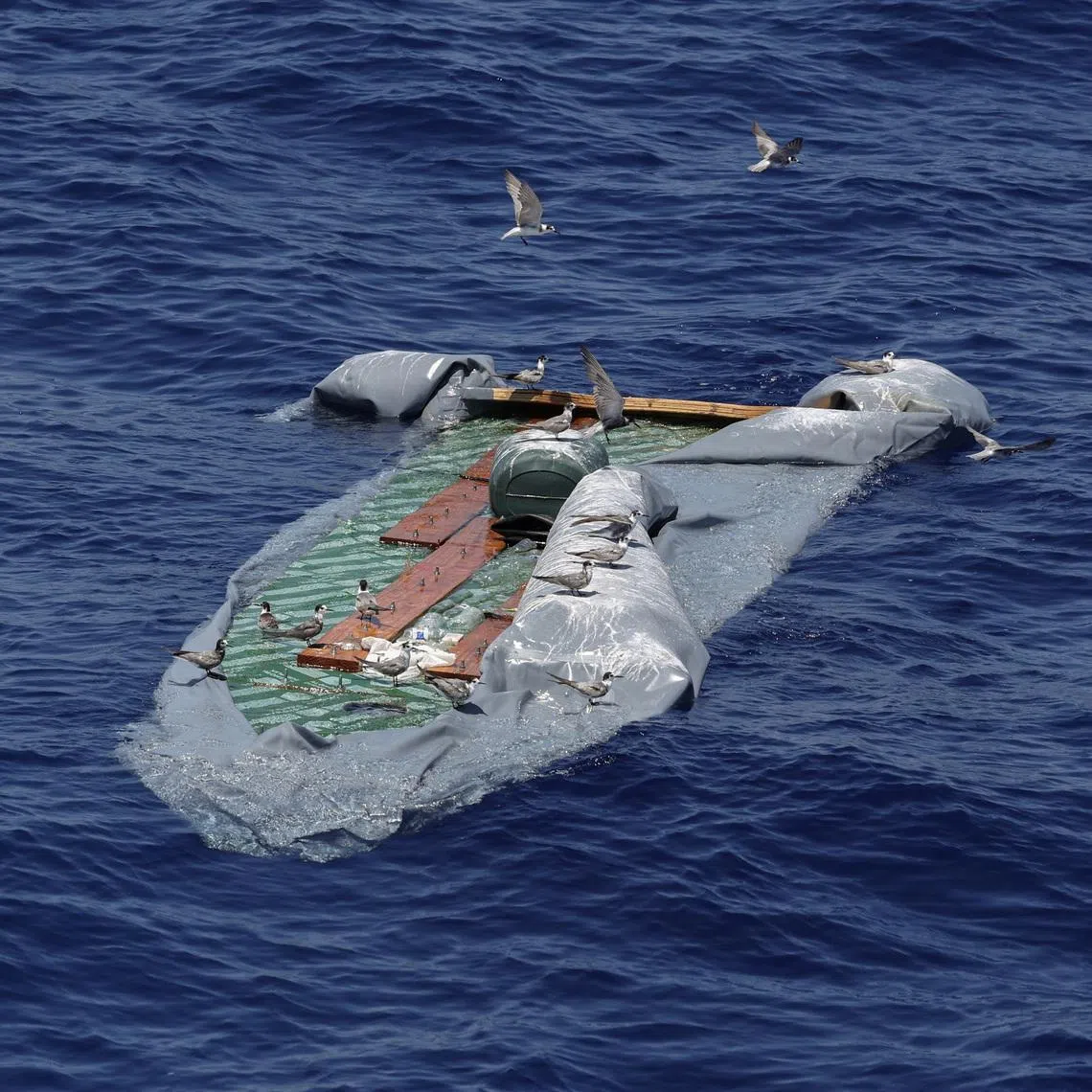 Birds rest at the remains of a rubber boat, as seen from the migrant search and rescue ship Sea-Watch 5, operated by German NGO Sea-Watch, in the search and rescue (SAR) zone in the central Mediterranean off Libya, August 9, 2025. REUTERS/Louisa Gouliamaki